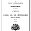 Statistisk rapport 1878 omslag